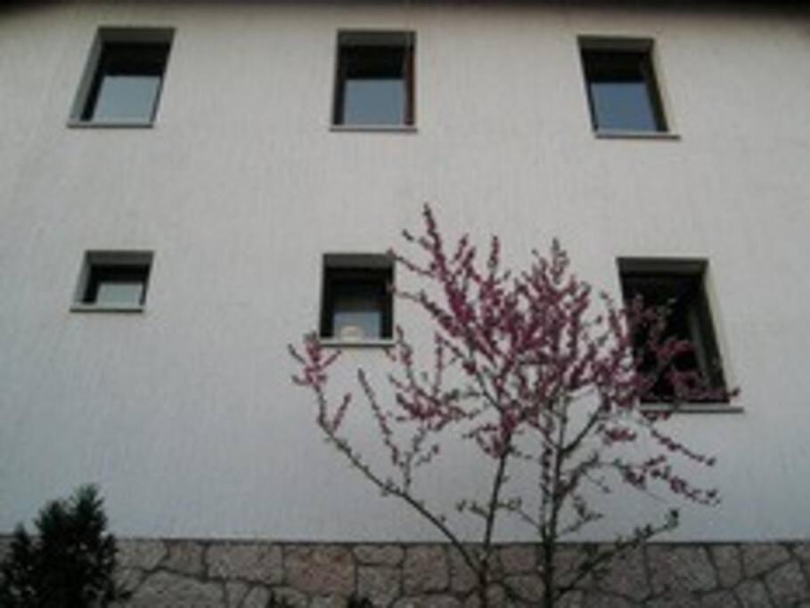 Apartment In Old Town - Top Location Saraybosna Dış mekan fotoğraf